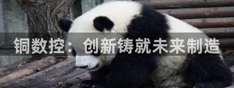 天辰娱乐 主管