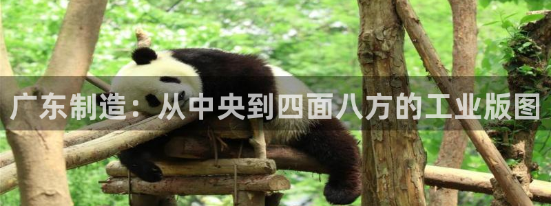 天辰注册娱乐