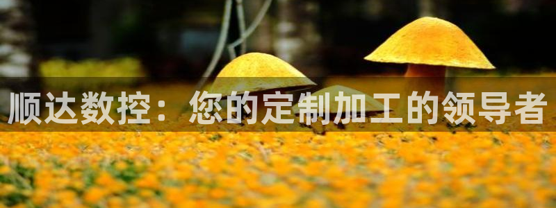 天辰娱乐60447