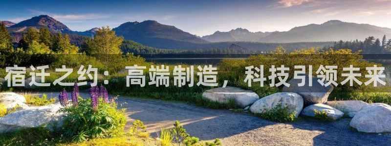 天辰娱乐51137