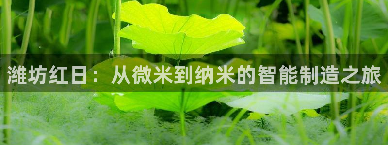 天辰娱乐新闻