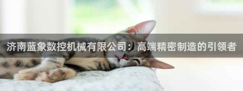 天辰娱乐注册