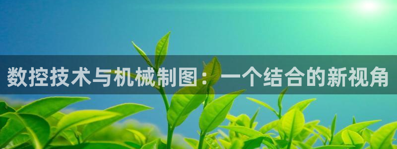 天辰娱乐平台地址在哪里