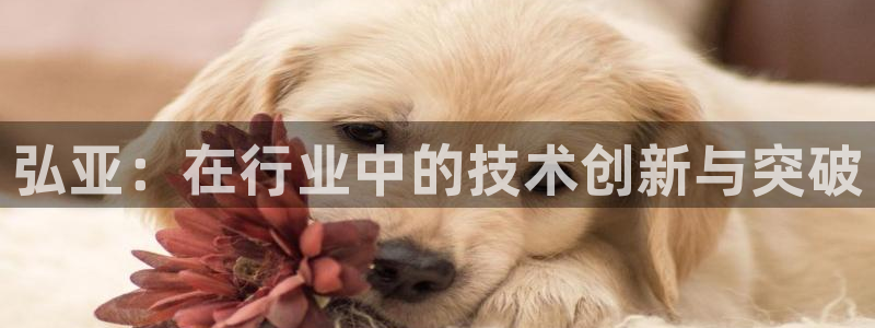 天辰娱乐厕所