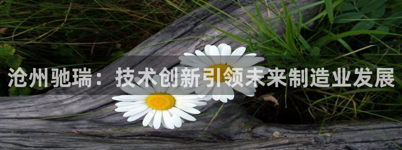 天辰娱乐卡