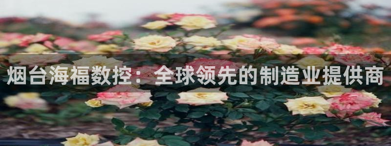 天辰辰娱乐代理