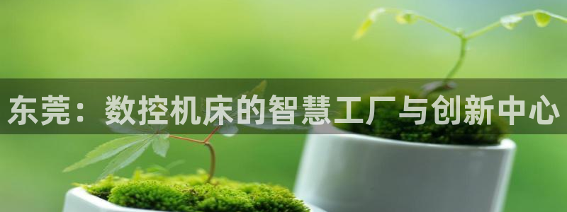 天辰娱乐_675138