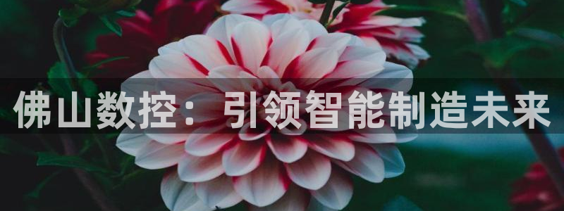 天辰娱乐appxi