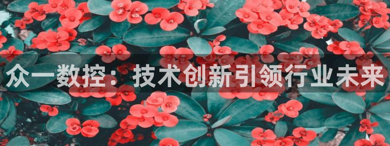 天辰娱乐登录