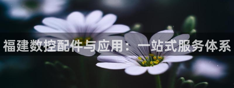 天辰娱乐文化