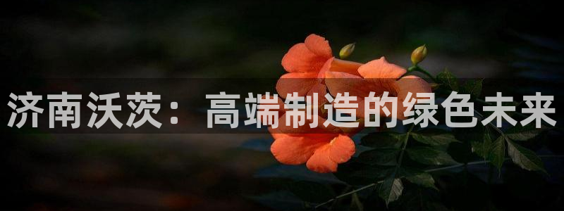 天辰娱乐平台安全吗