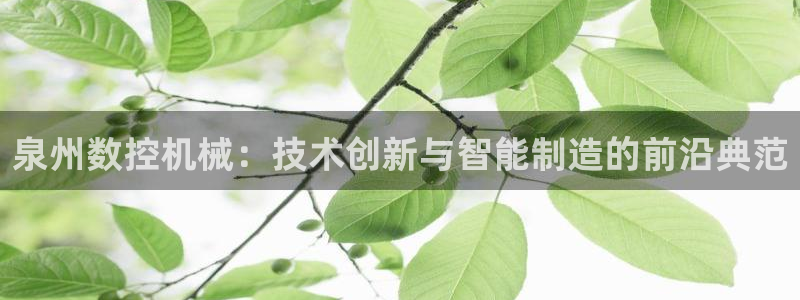 天辰娱乐国际