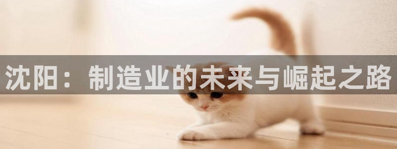 天辰娱乐股东
