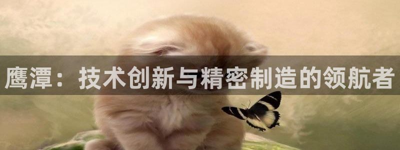 天辰娱乐下载地址