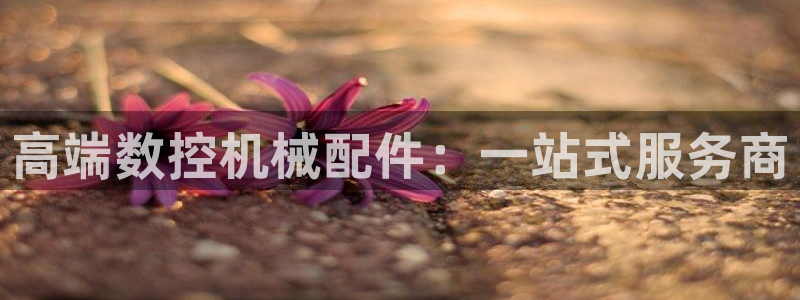 天辰娱乐