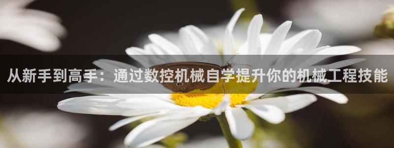天辰注册娱乐