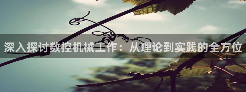 天辰app娱乐