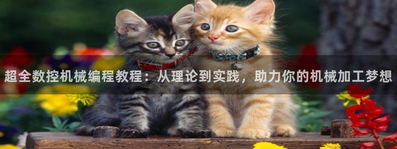 天辰娱乐元宝