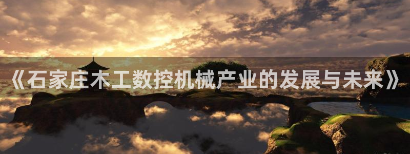 天辰娱乐 天辰平台：《石家庄木工数控机械产业的发展与未来》