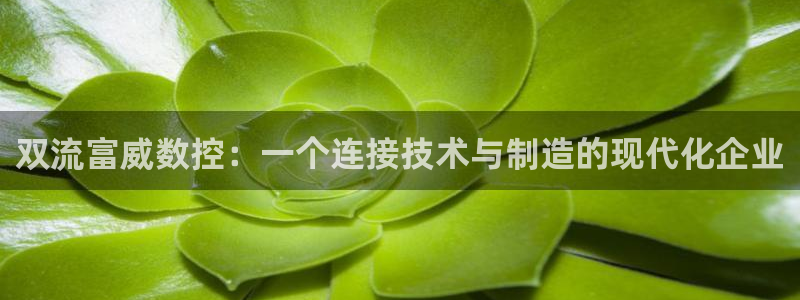 天辰娱乐官网平台入口
