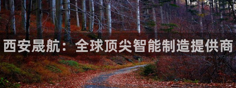 深圳天辰娱乐
