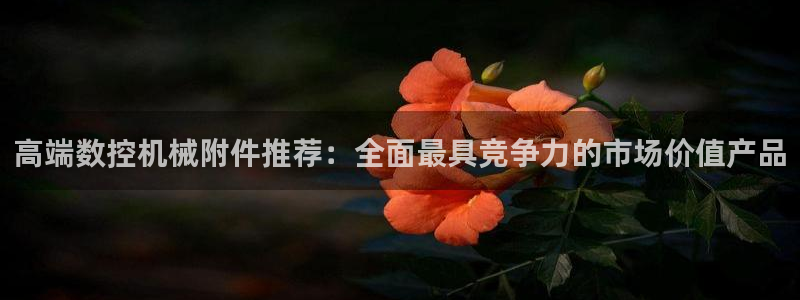 天辰臣娱乐