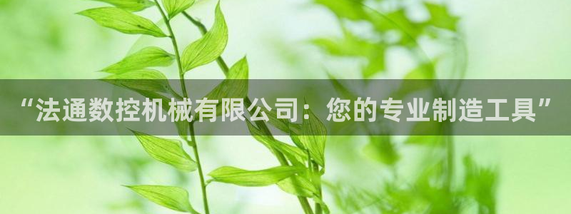 天辰娱乐平台登录账号