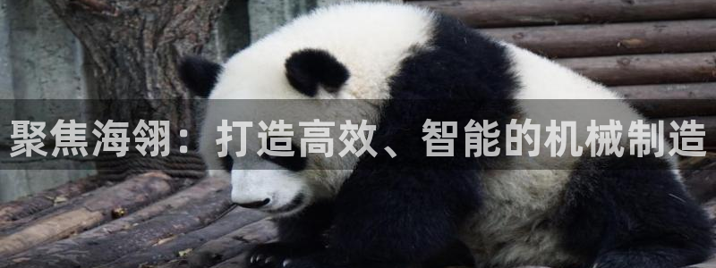 天辰娱乐内部