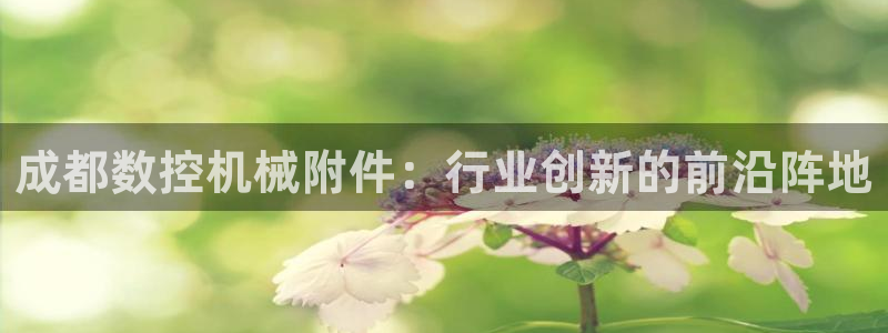 天辰娱乐上级:成都数控机械附件:行业创新的前沿阵地