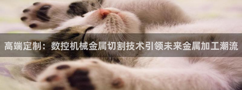 天辰娱乐视频