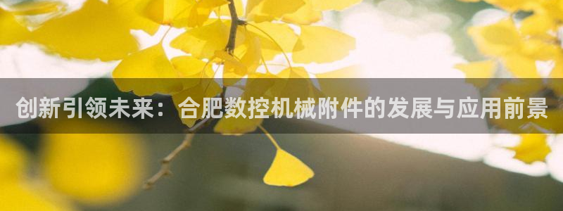 天辰娱乐代理:创新引领未来:合肥数控机械附件的发展与应用前景