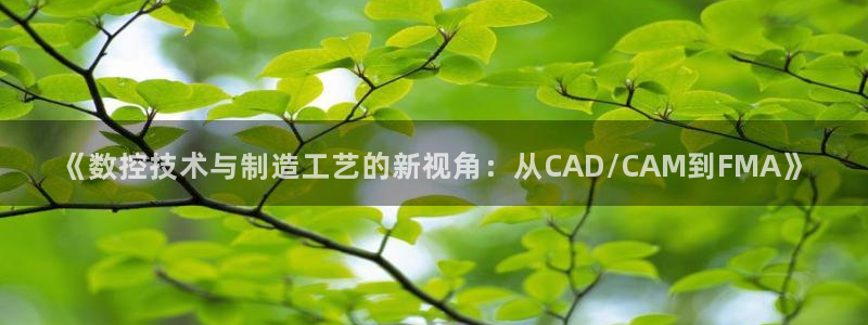 天辰娱乐登陆:《数控技术与制造工艺的新视角:从CAD/CAM到FMA》