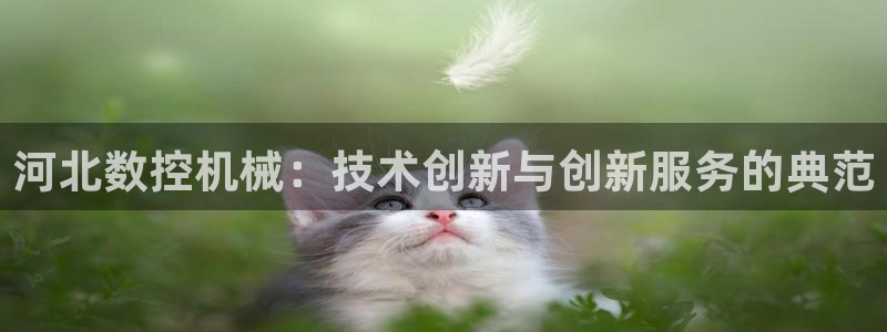 天辰娱乐新
