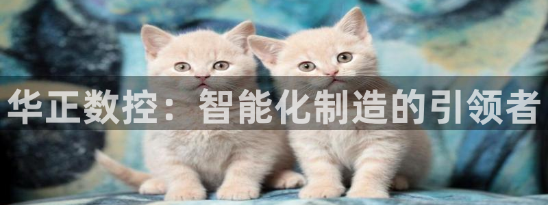天辰娱乐官网平台入口