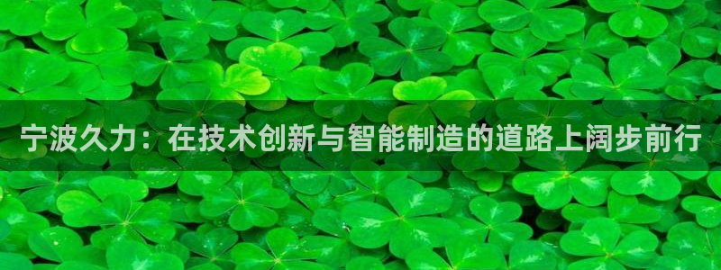 天辰天富娱乐：宁波久力：在技术创新与智能制造的道路上阔步前行