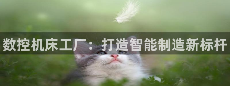 天辰娱乐怎么样