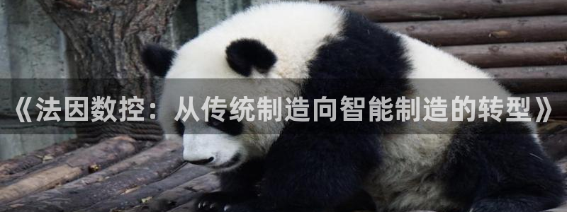 天辰娱乐 . 鱼刺