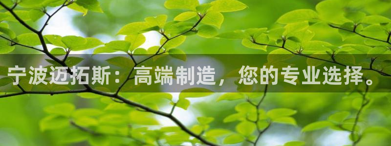 天辰娱乐上级