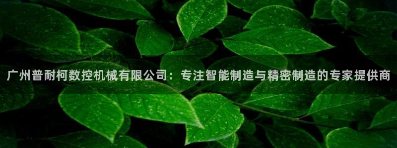 天辰娱乐885544:广州普耐柯数控机械有限公司:专注智能制造与精密制造的专家提供商