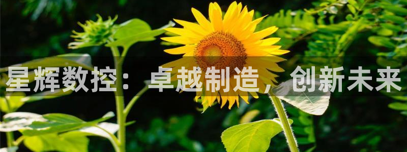 哈尔滨天辰娱乐