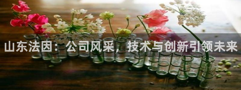 天辰娱乐集团：山东法因：公司风采，技术与创新引领未来