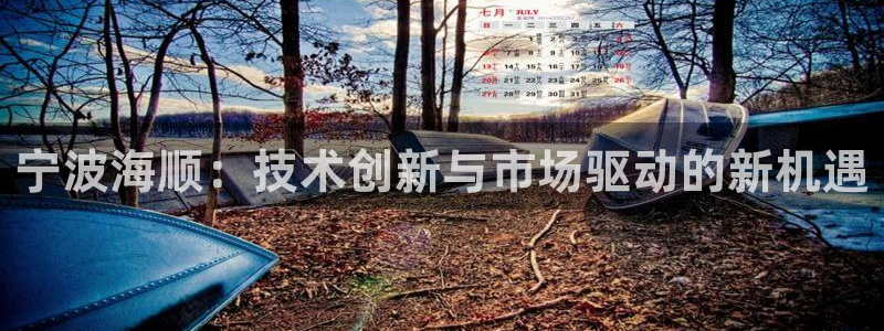 天辰娱乐股票