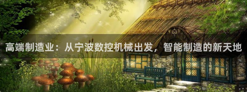 天辰2娱乐：高端制造业：从宁波数控机械出发，智能制造的新天地