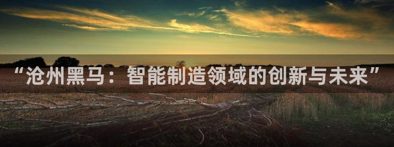 天辰娱乐平台app下载