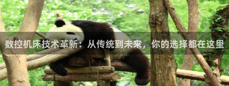 下载天辰娱乐