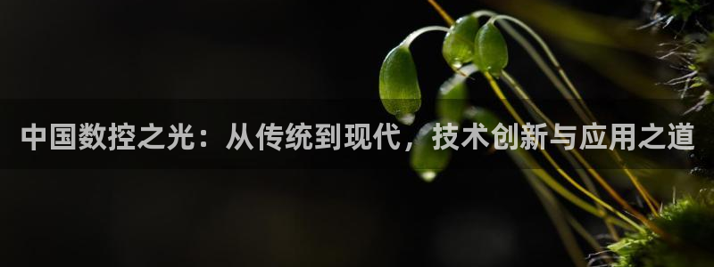 天辰app娱乐