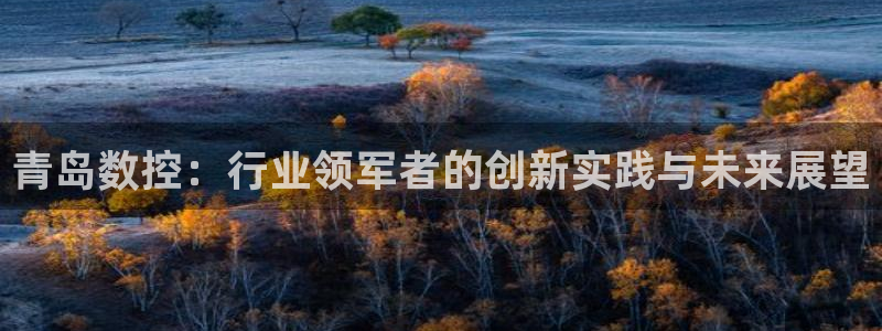天辰娱乐728567：青岛数控：行业领军者的创新实践与未来展望