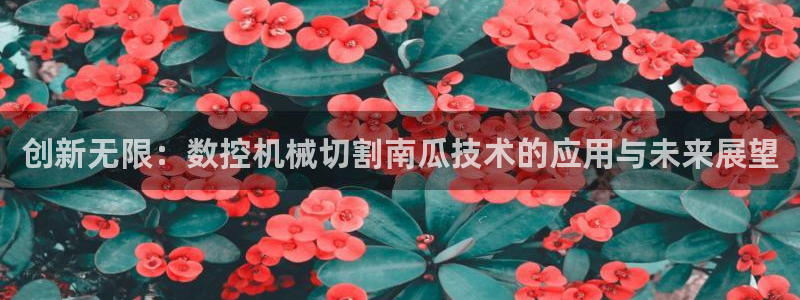 天辰娱乐885544