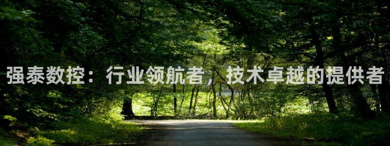 天辰娱乐39974神