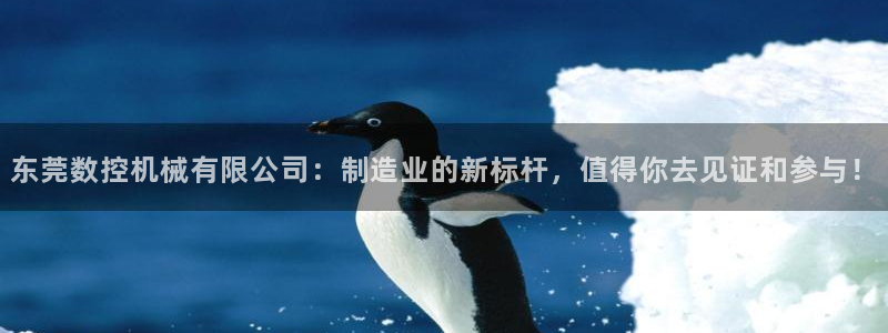 广东天辰娱乐：东莞数控机械有限公司：制造业的新标杆，值得你去见证和参与！